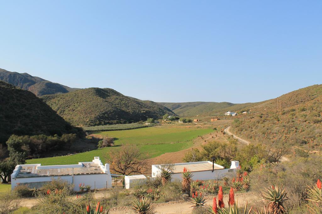 Matjiesvlei Guestfarm Villa Calitzdorp Ngoại thất bức ảnh