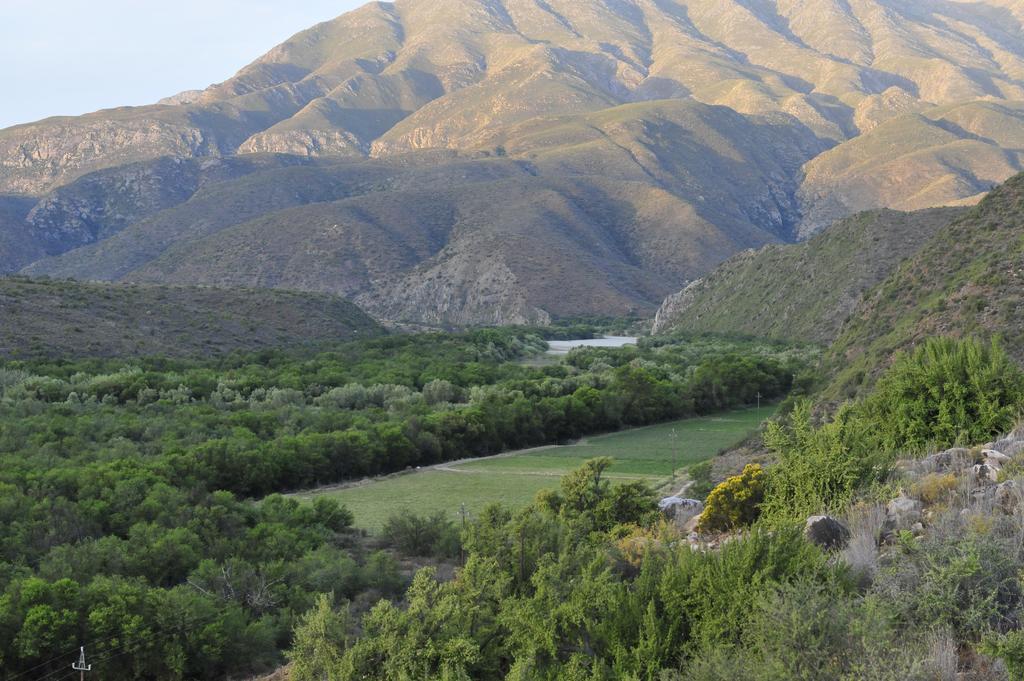 Matjiesvlei Guestfarm Villa Calitzdorp Ngoại thất bức ảnh